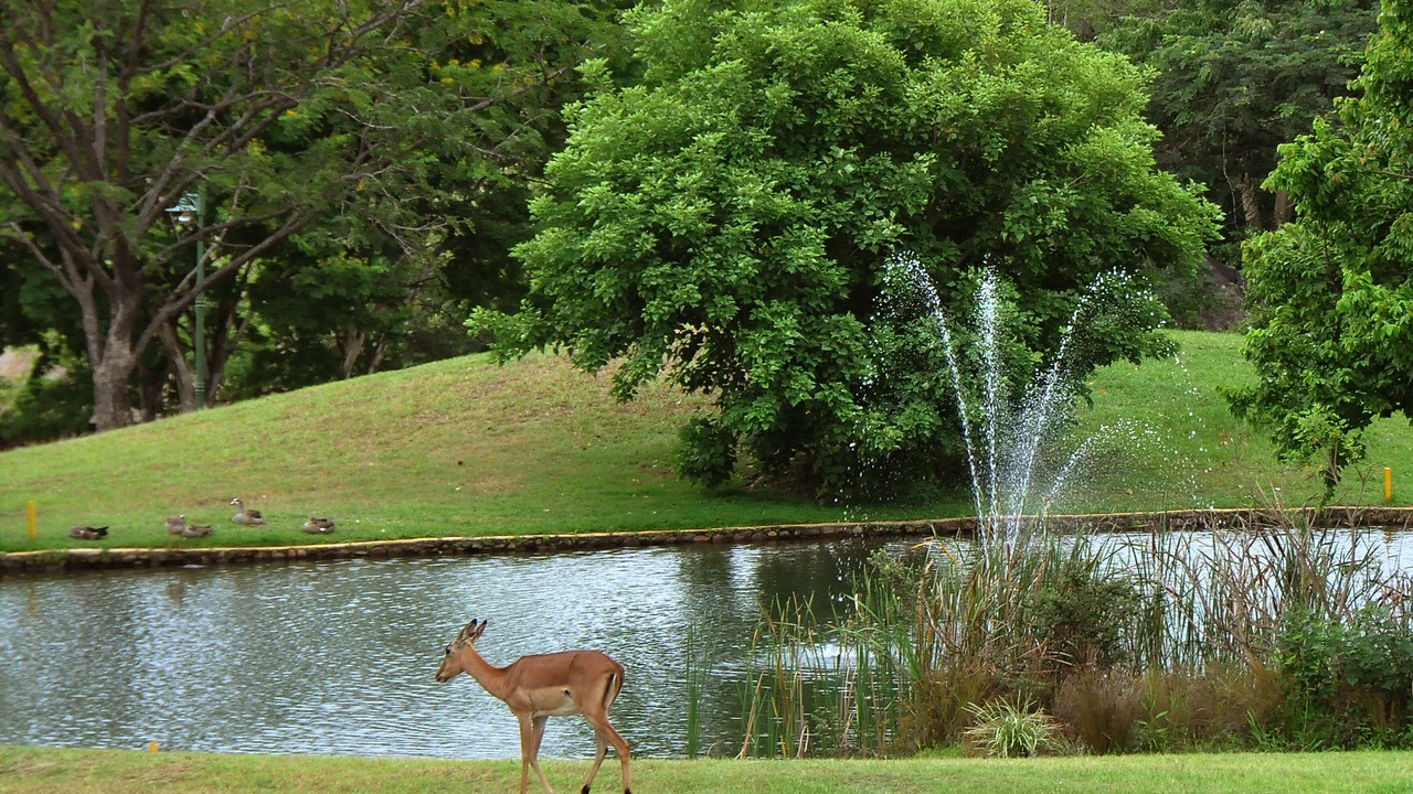 Photo of Outdoor in Hazyview