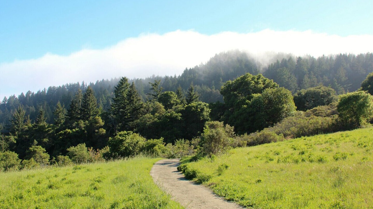 Photo of Outdoor in Redwood City