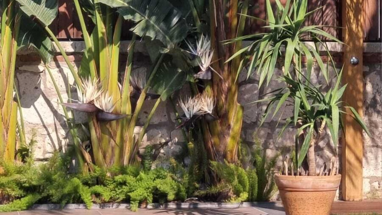 Photo of Outdoor in Hacımemis