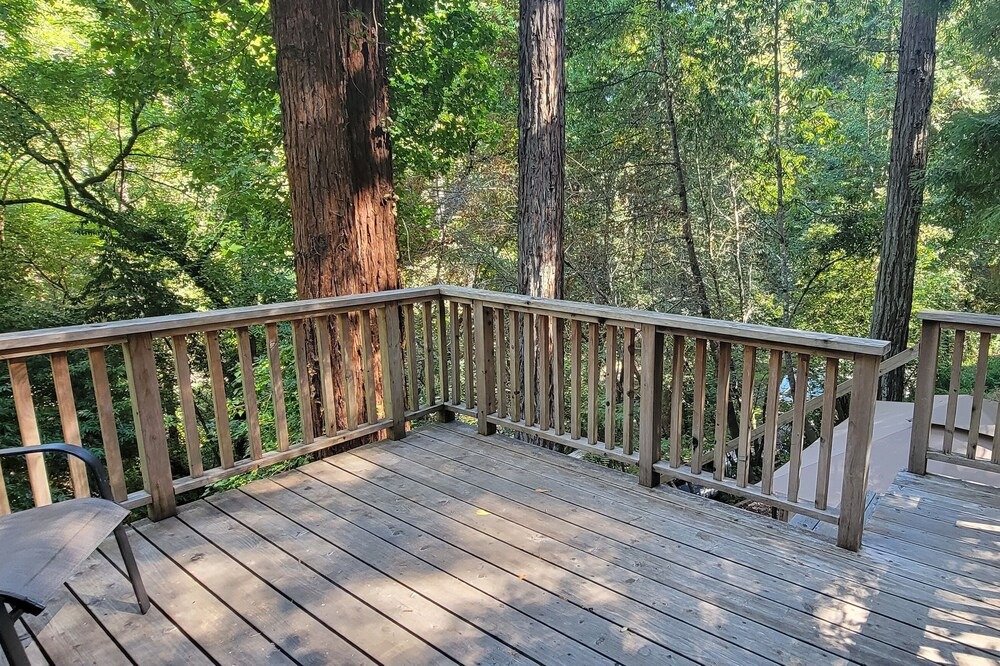Photo of Outdoor in Guerneville