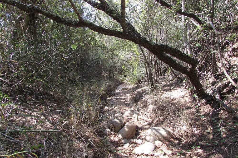 Photo of Outdoor in Thorny Bush Game Reserve