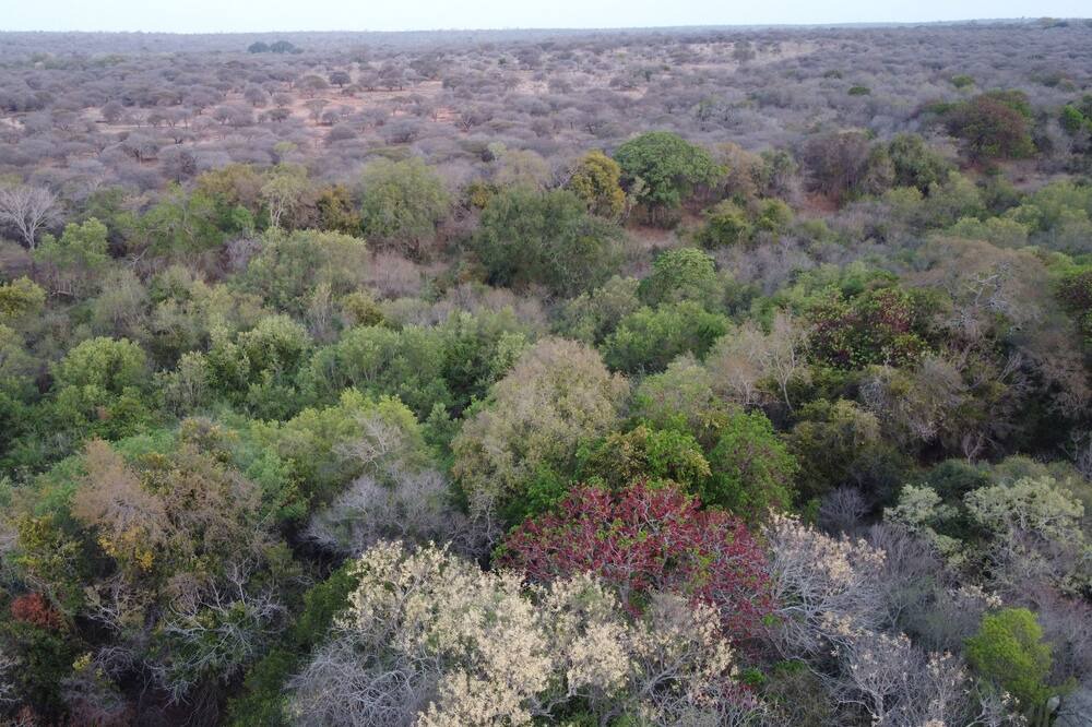 Photo of Outdoor in Thorny Bush Game Reserve