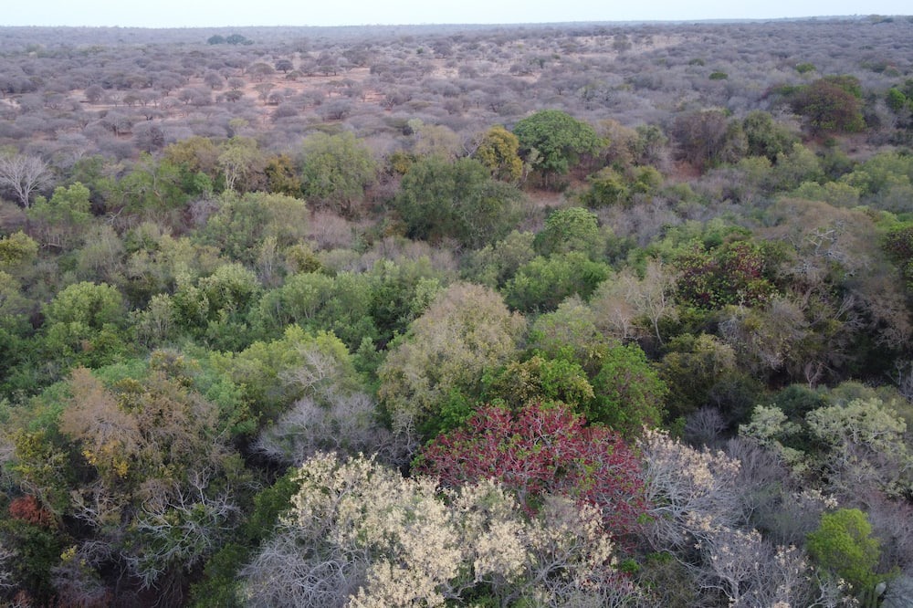 Photo of Outdoor in Thorny Bush Game Reserve