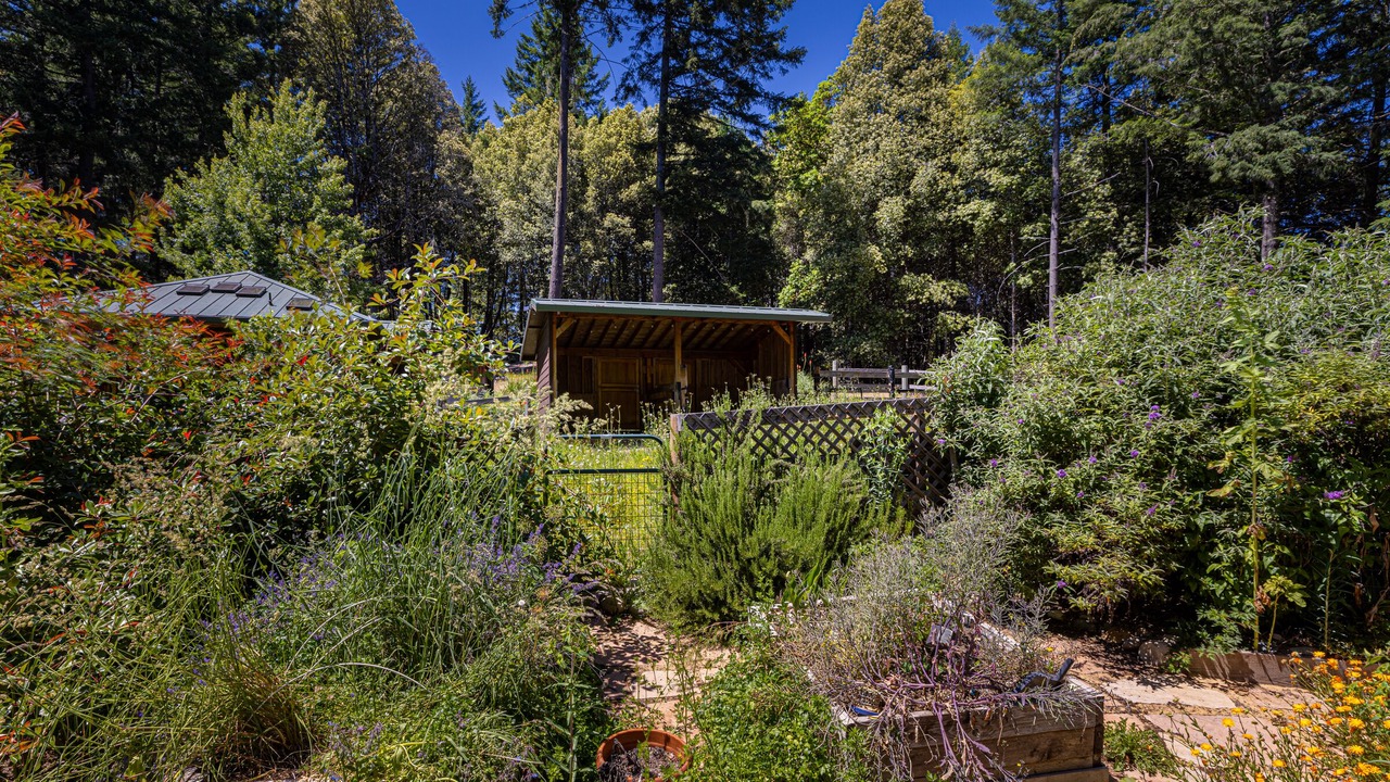 Photo of Outdoor in Willits