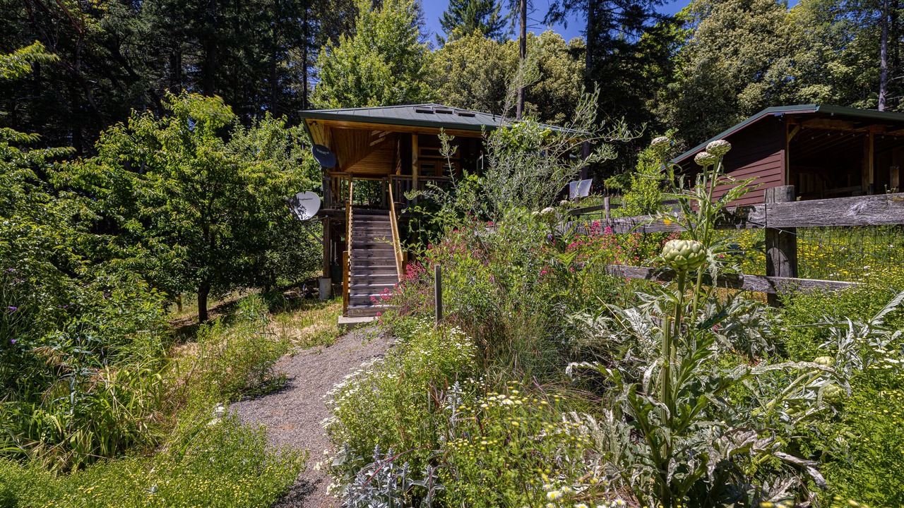 Photo of Outdoor in Willits
