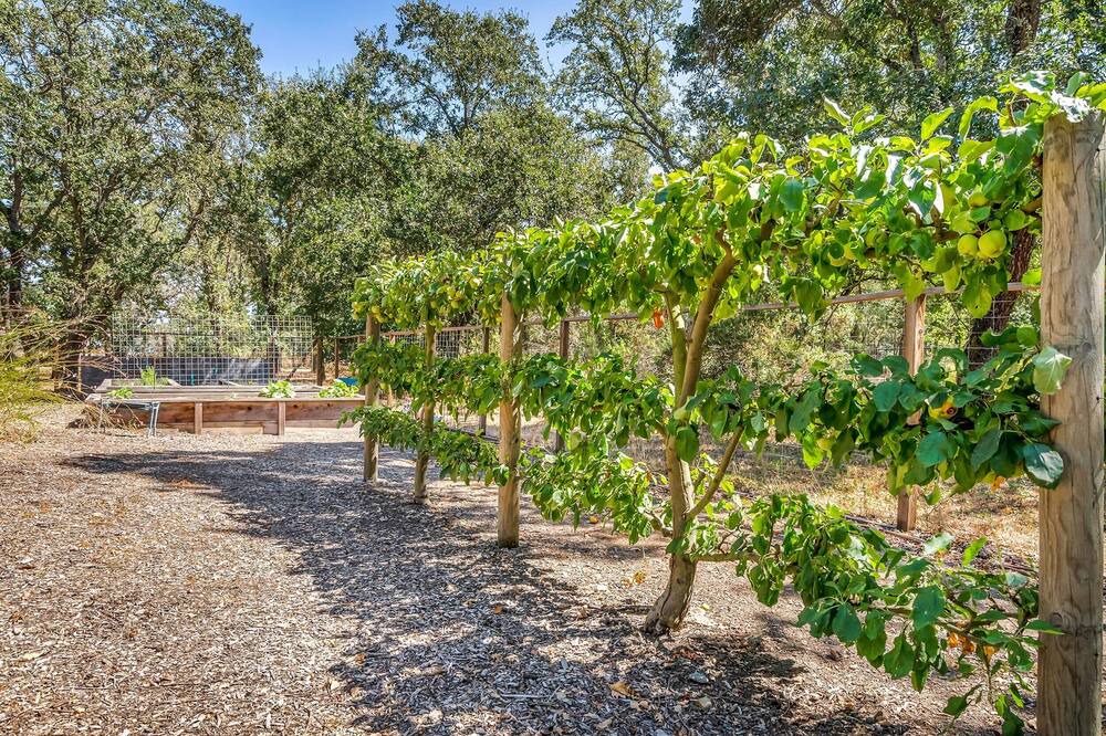 Photo of Outdoor in Sonoma