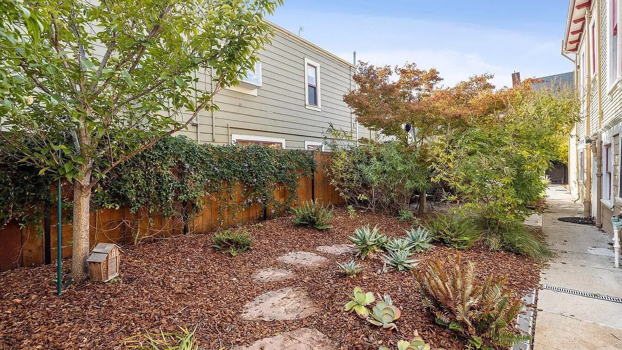 Photo of Outdoor in West Alameda