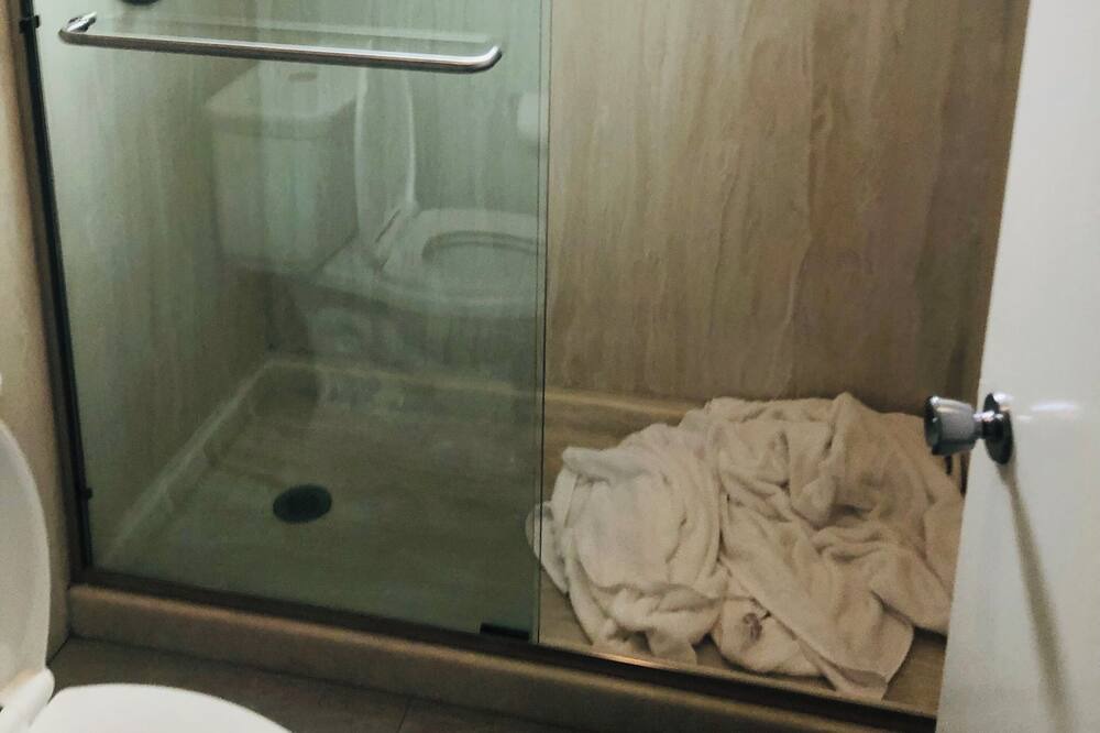 Photo of Bathroom in Belmont