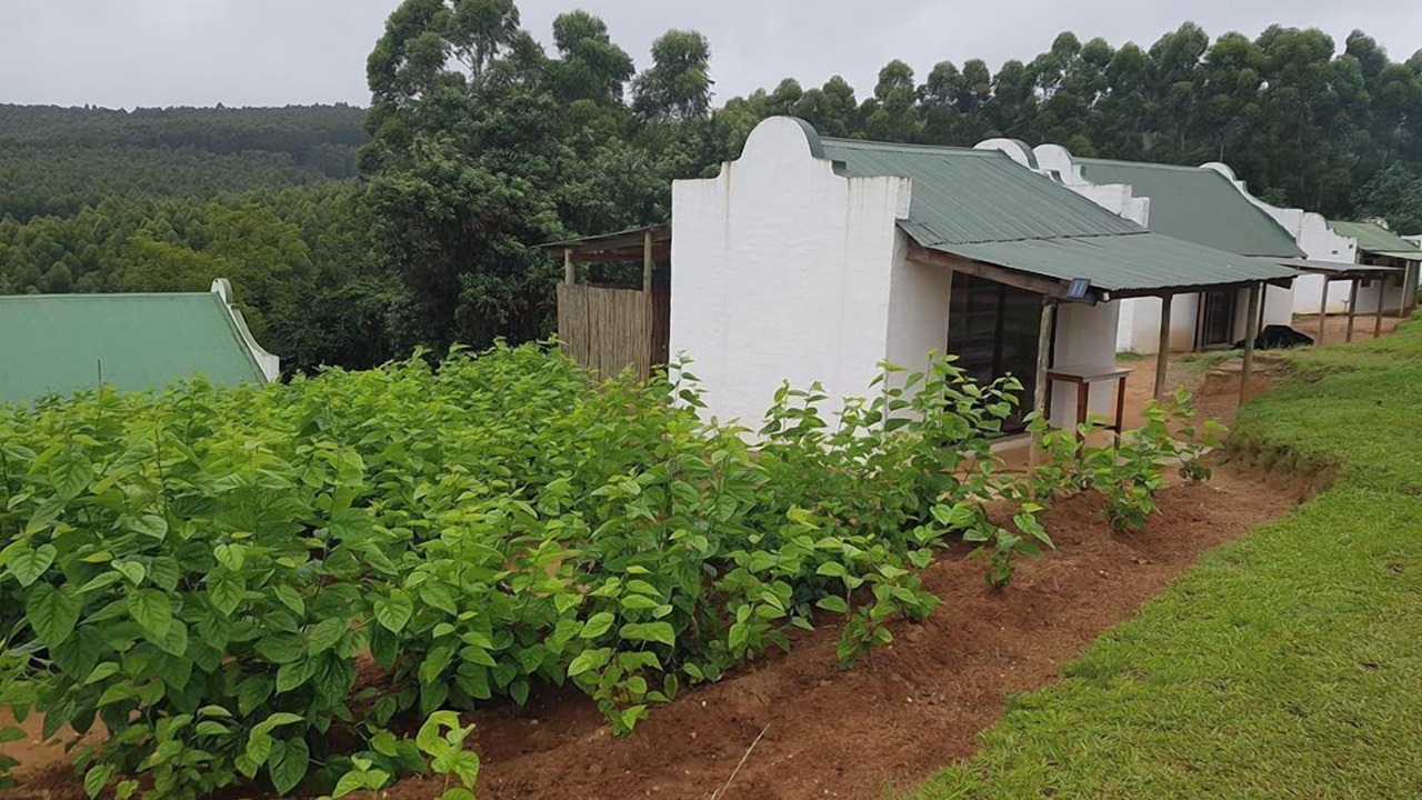 Photo of Outdoor in Graskop