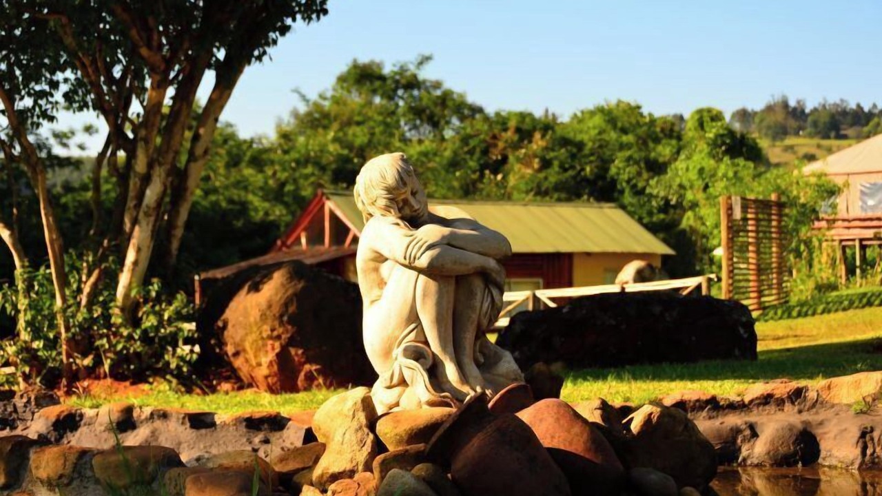Photo of Others in Graskop