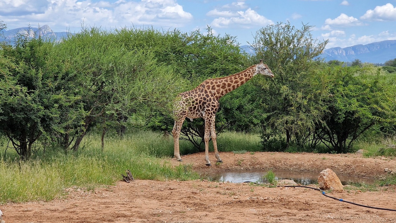 Photo of Outdoor in Maruleng