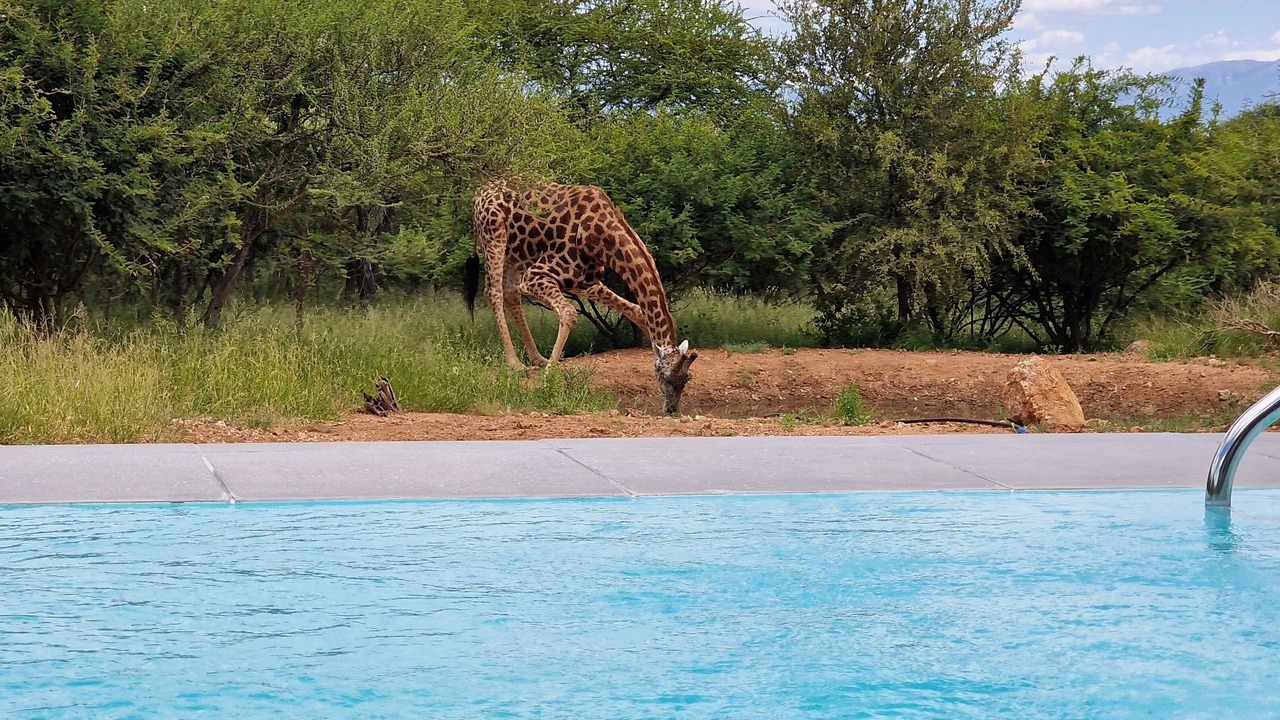 Photo of Outdoor in Maruleng