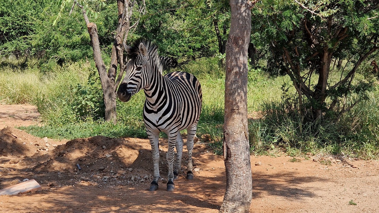 Photo of Outdoor in Maruleng