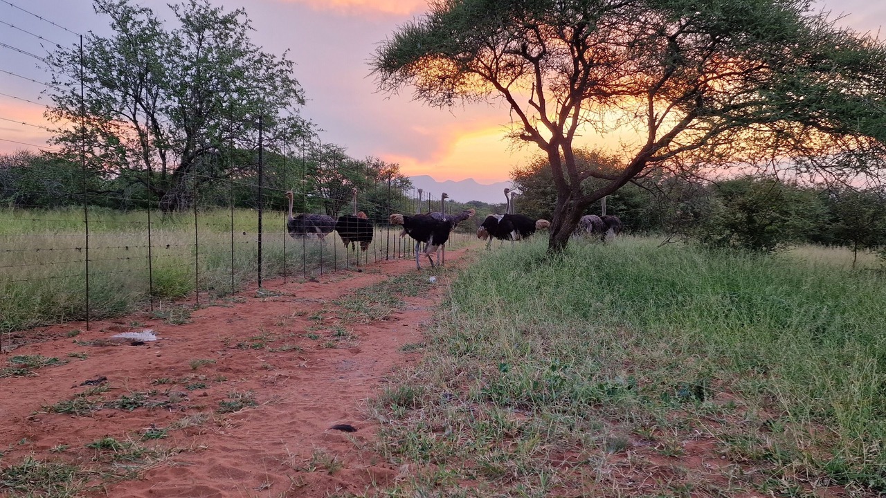 Photo of Outdoor in Maruleng
