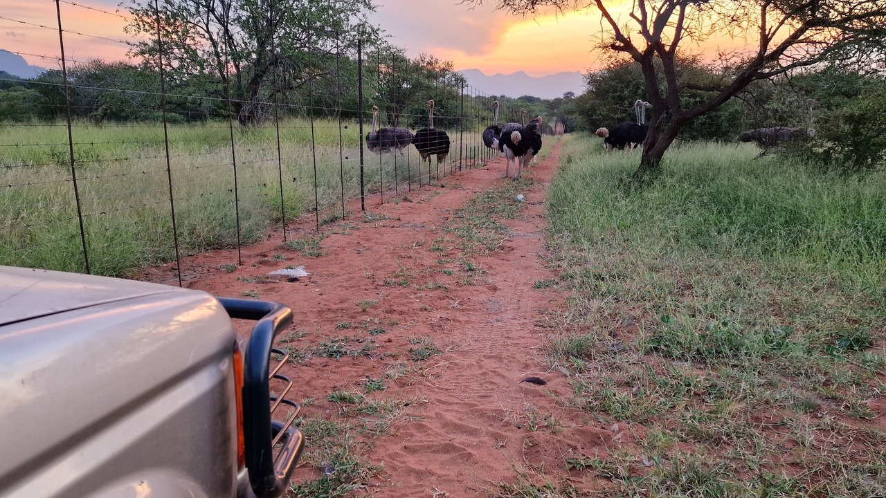 Photo of Outdoor in Maruleng