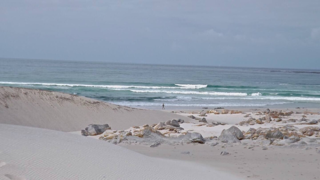 Photo of Others in Betty's Bay