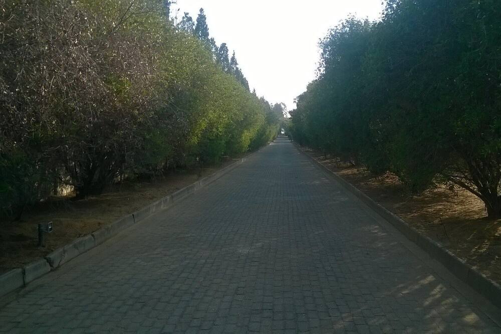 Photo of Others in Vaal Marina