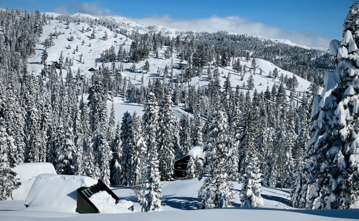 Photo of Others in Bear Valley