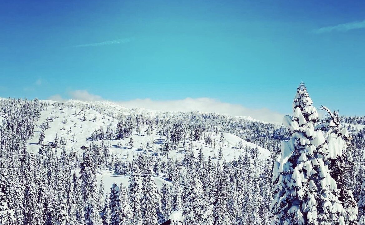 Photo of Others in Bear Valley
