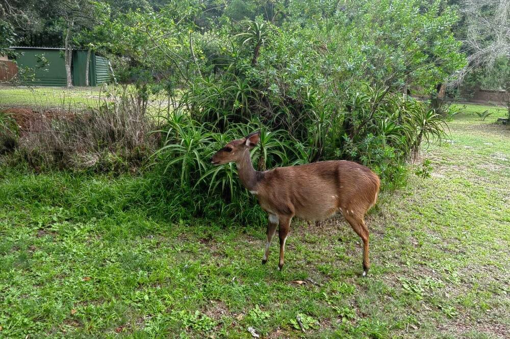 Photo of Outdoor in Lake Brenton