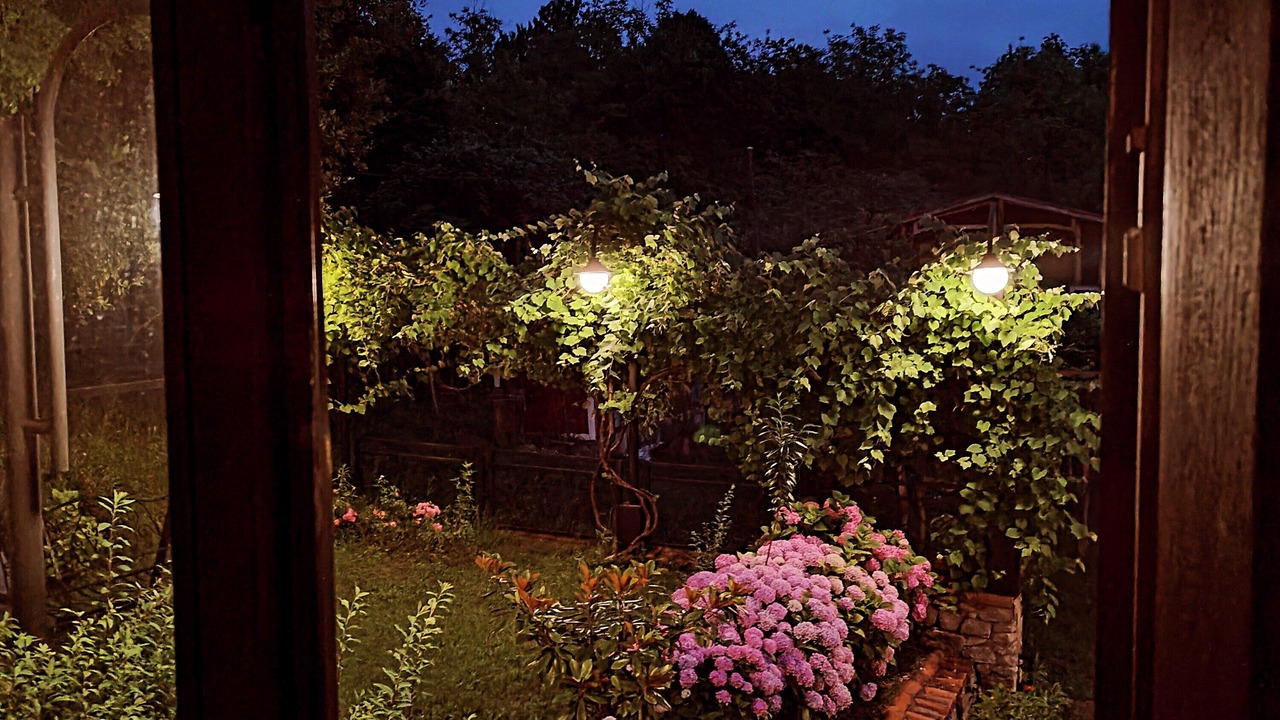Photo of Outdoor in Fatsa
