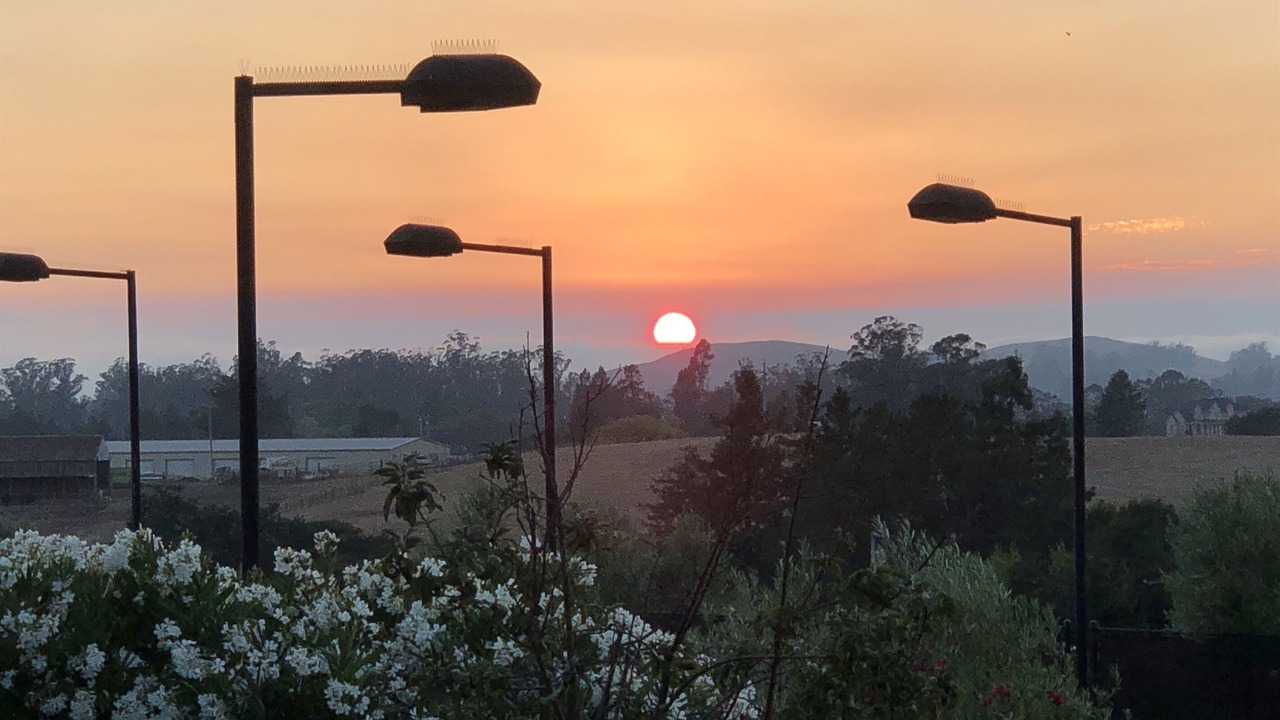 Photo of Outdoor in Petaluma