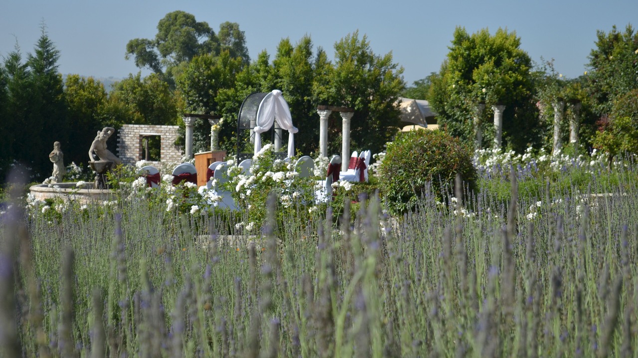 Photo of Outdoor in Lanseria