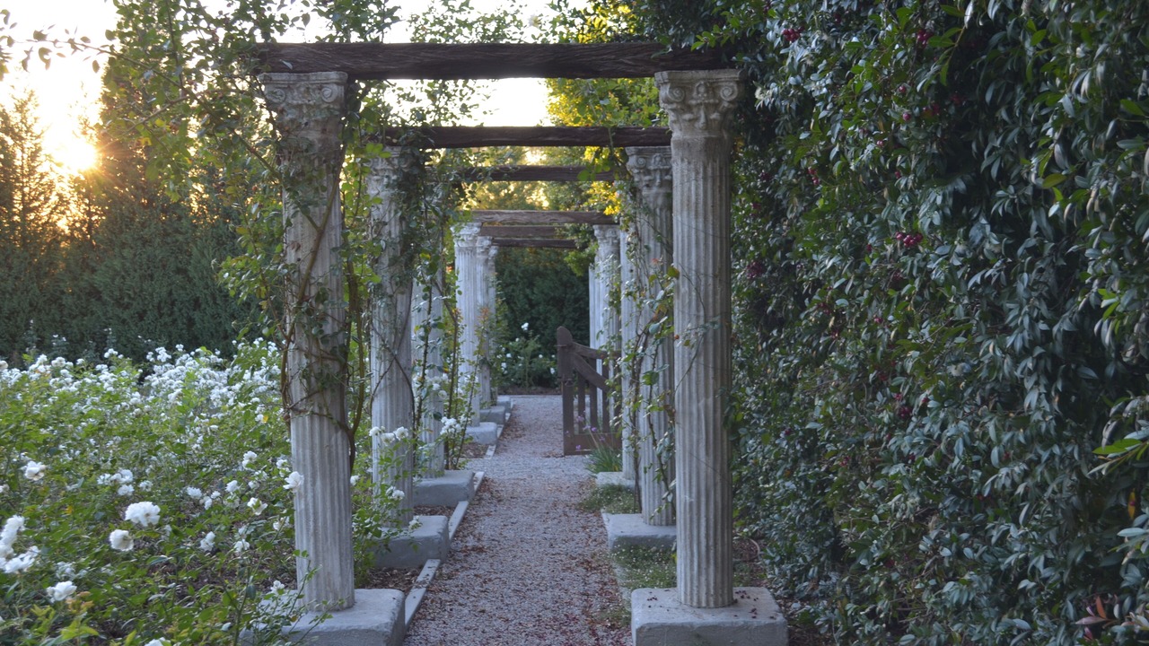 Photo of Outdoor in Lanseria
