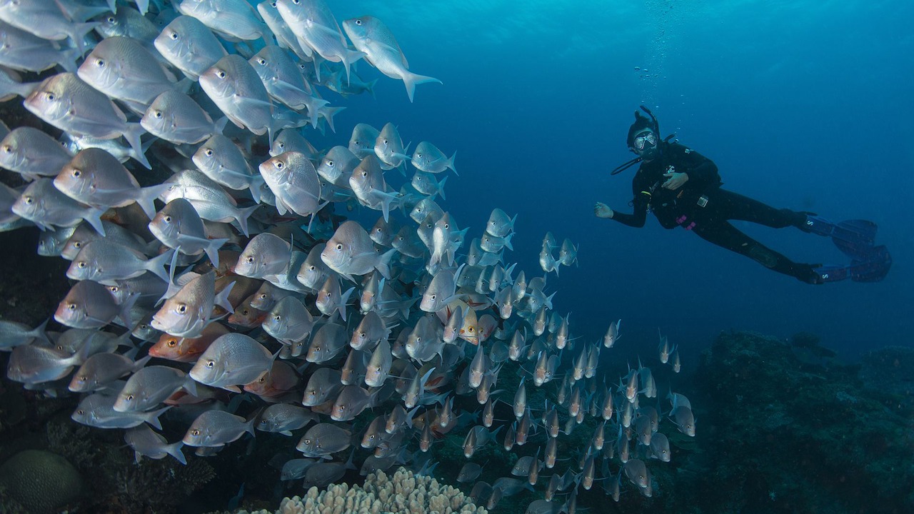 Photo of Others in Sodwana Bay National Park