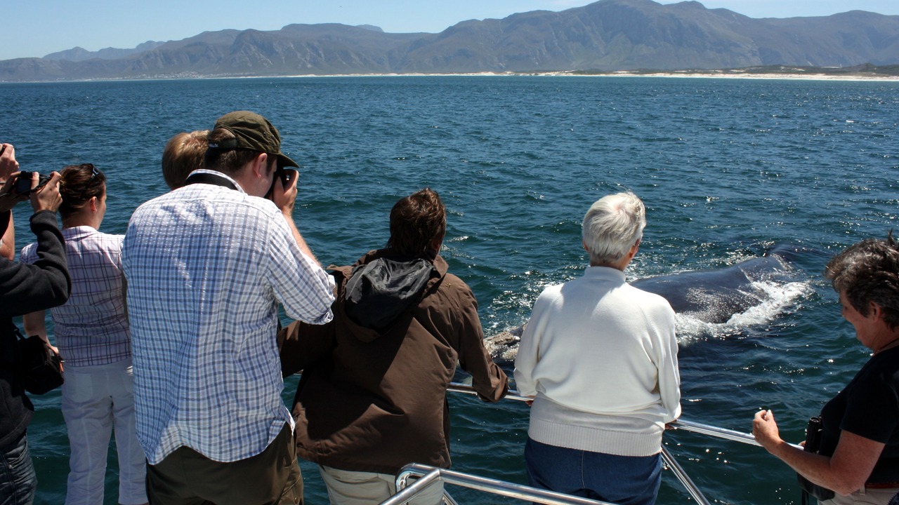 Photo of Others in De Kelders