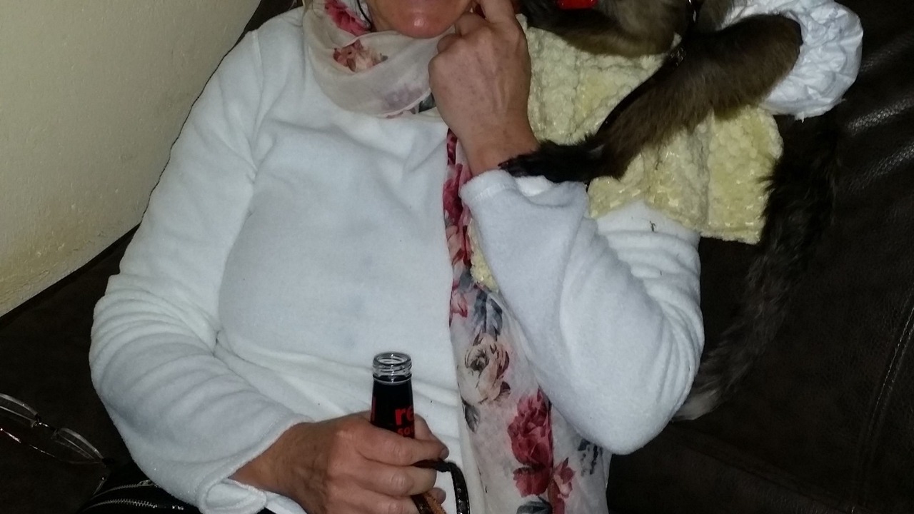 Photo of Others in Piet Retief