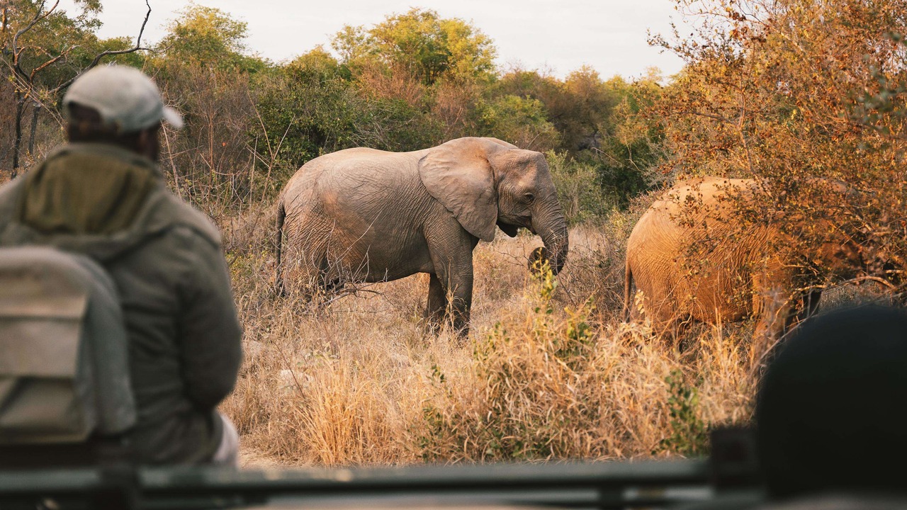 Photo of Others in Kruger National Park