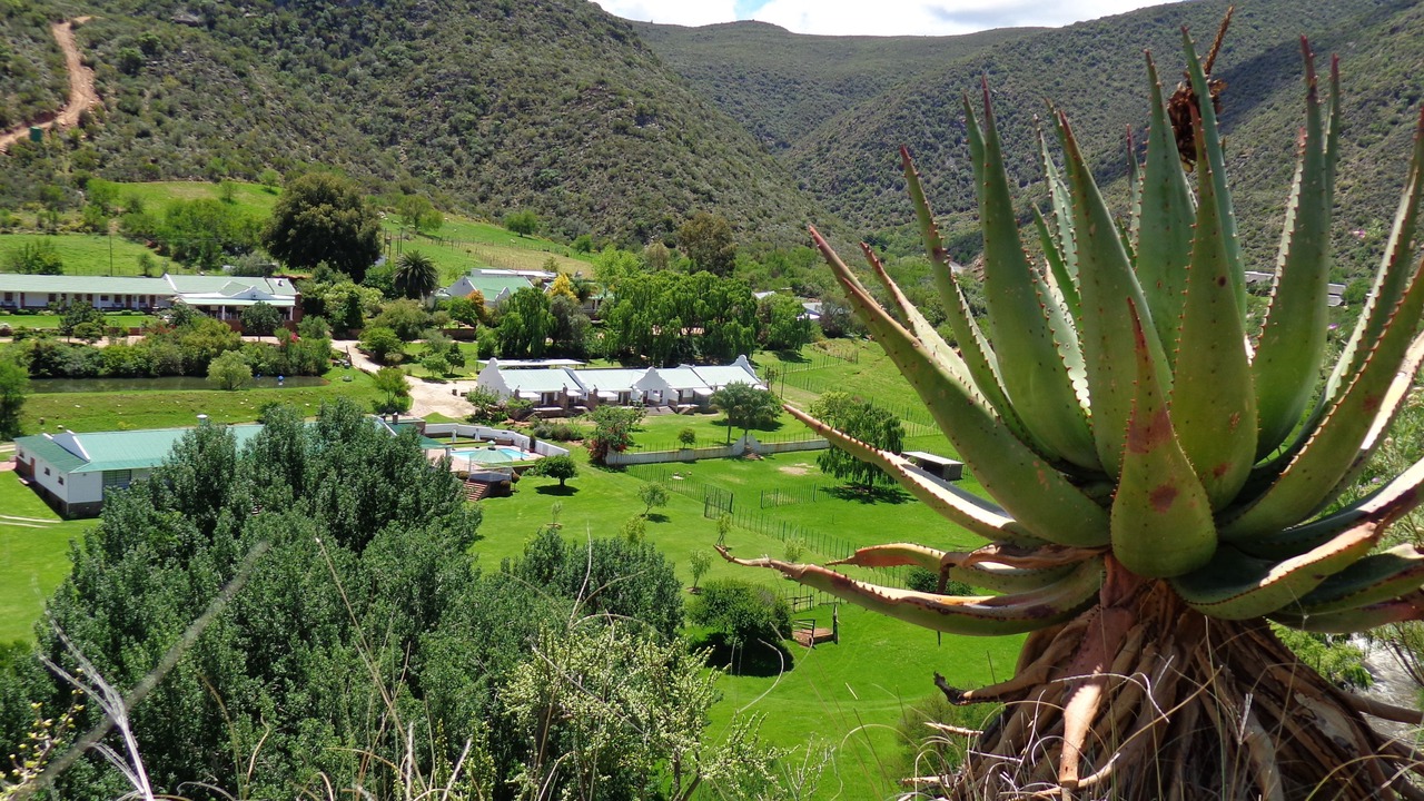 Photo of Outdoor in Schoemanshoek