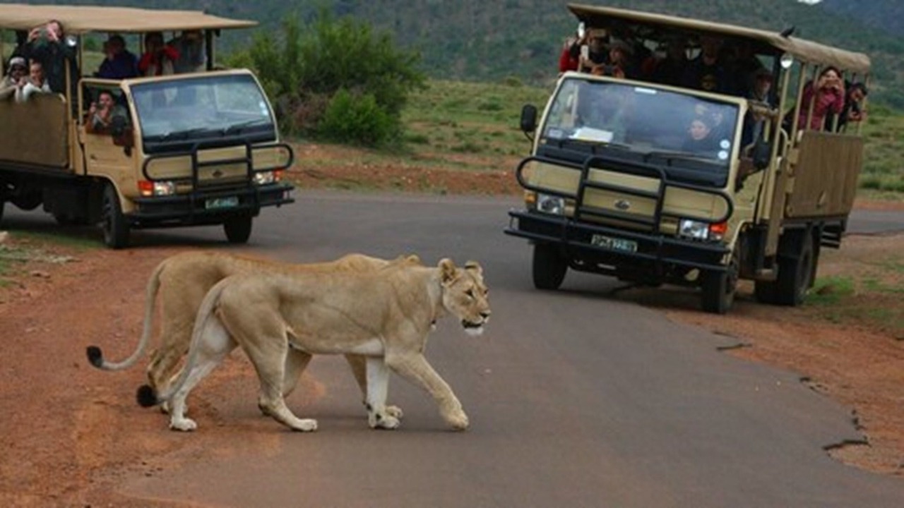 Photo of Others in Pilanesberg National Park