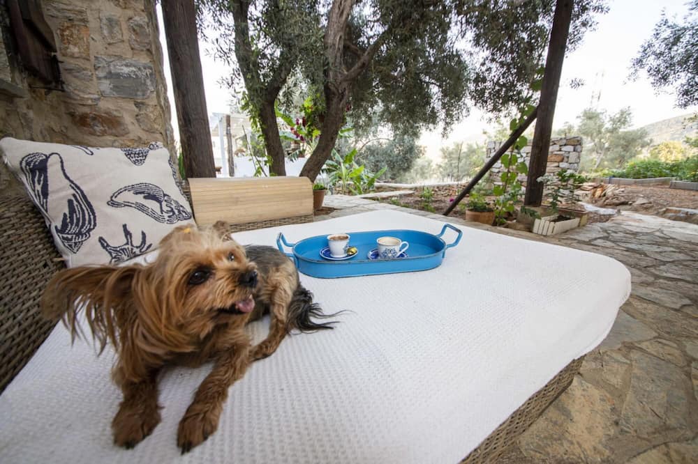 Photo of Others in Bodrum