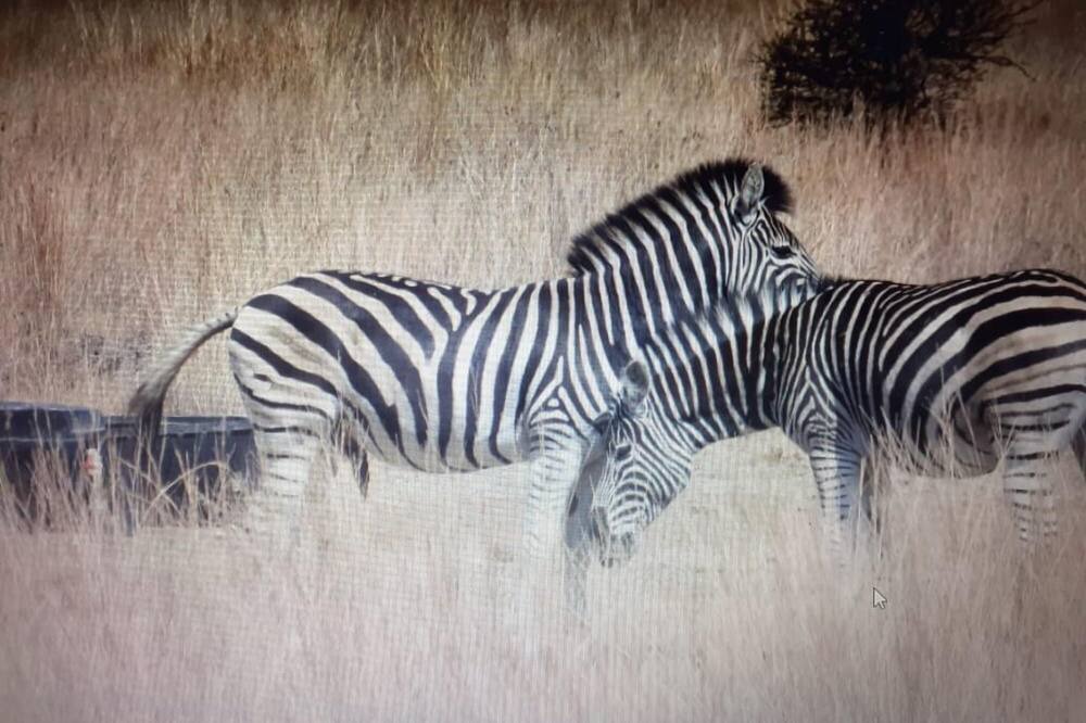 Photo of Others in Hammanskraal