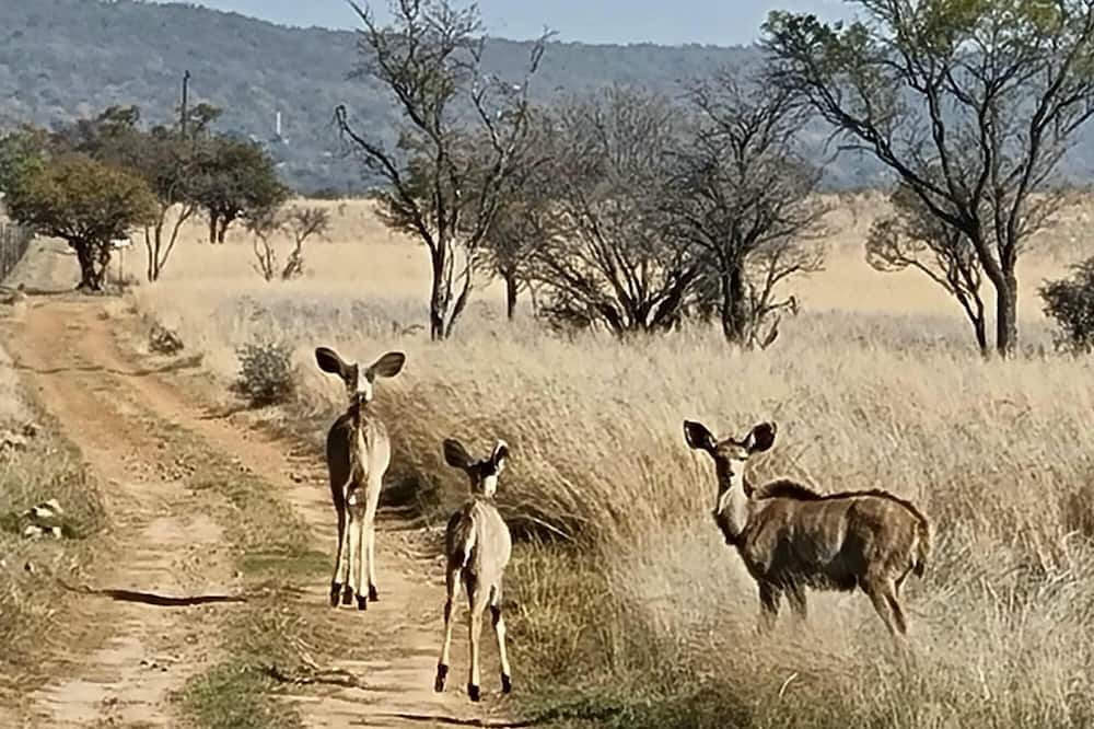 Photo of Outdoor in Hammanskraal
