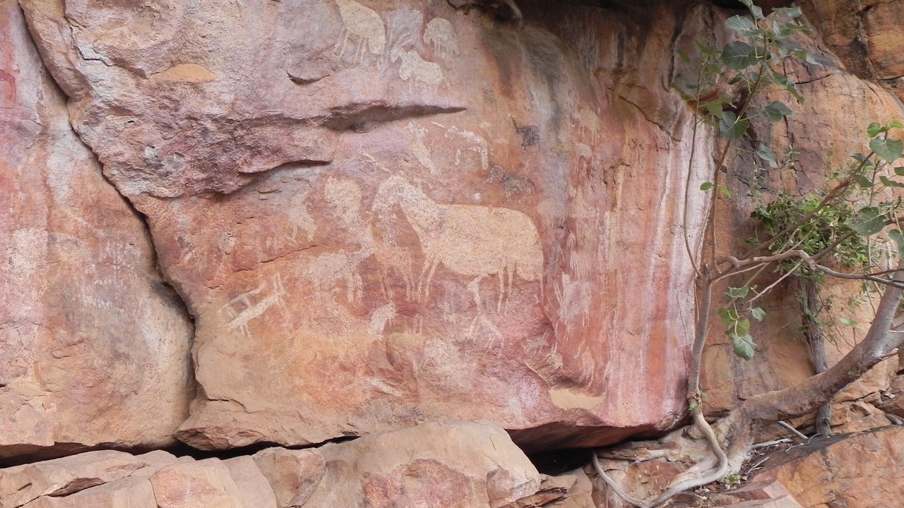 Photo of Others in Vaalwater