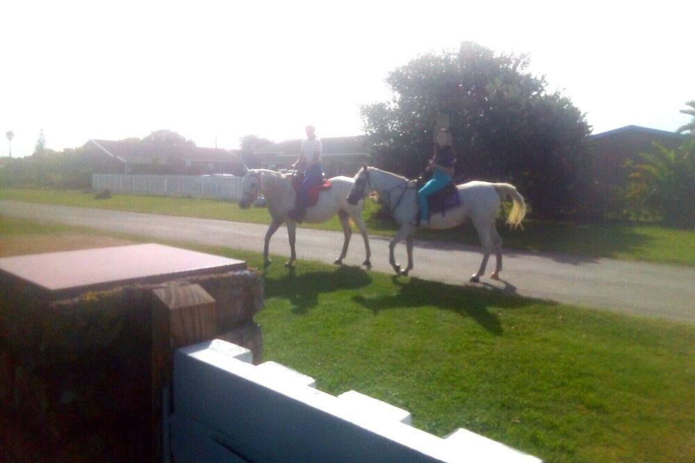 Photo of Others in Boknes Strand