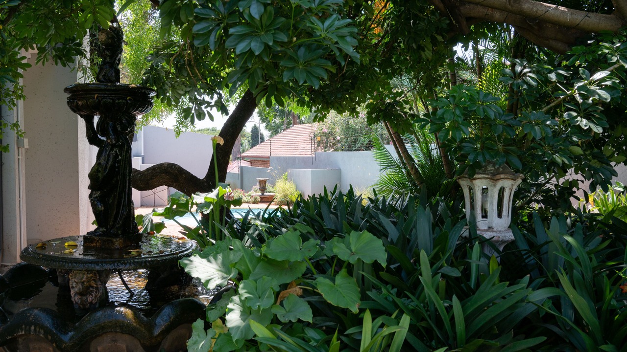 Photo of Outdoor in Akasia