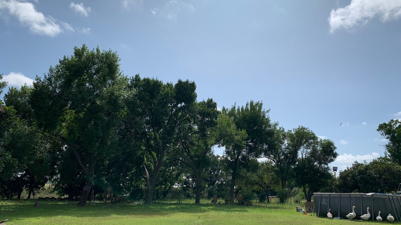 Photo of Outdoor in Mangaung