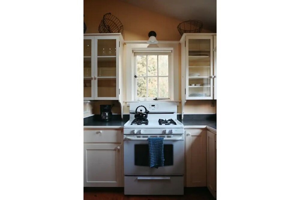 Photo of Kitchen in Albion