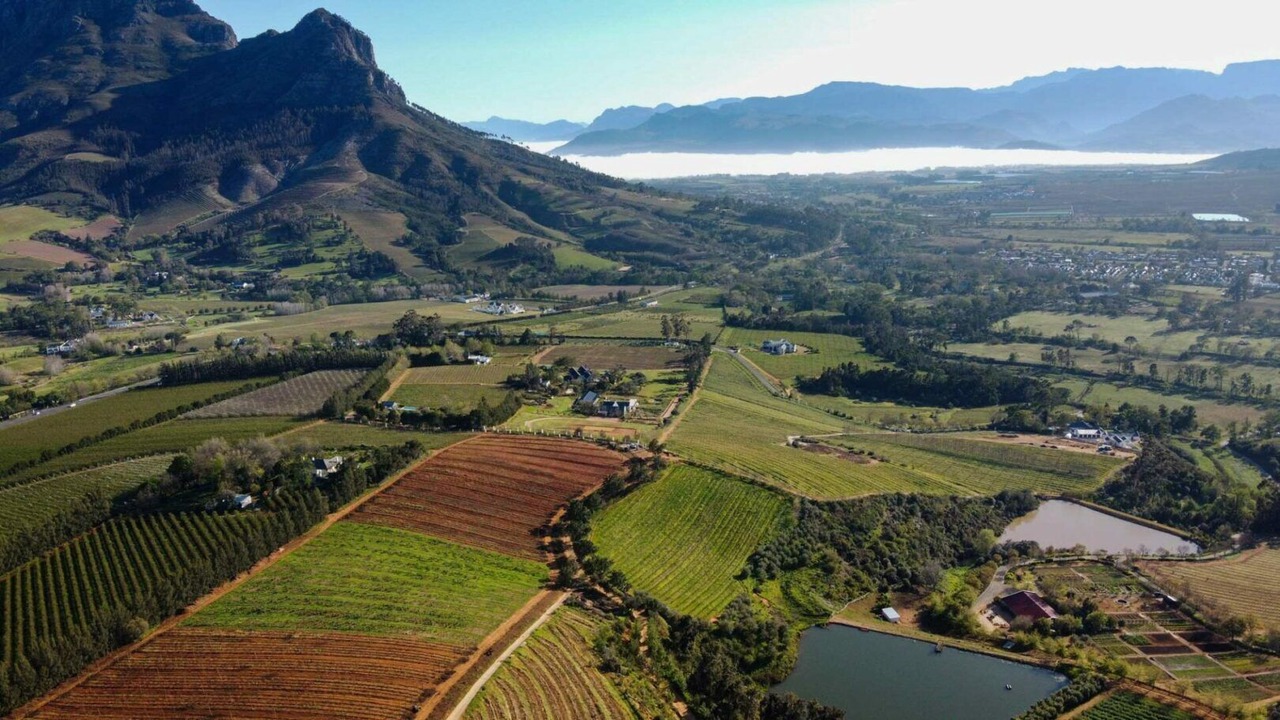 Photo of Others in Cape Winelands