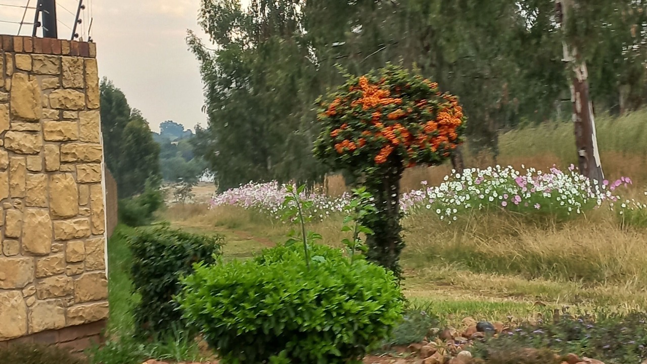 Photo of Outdoor in Benoni