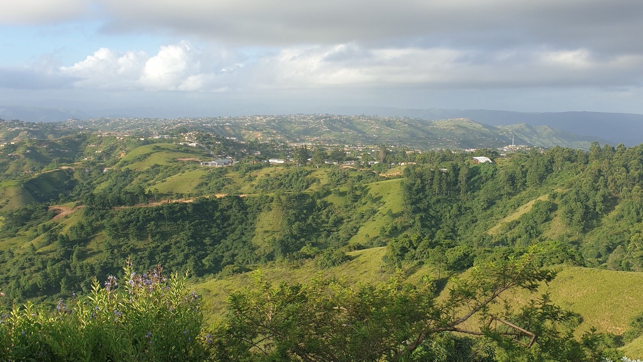 Photo of Outdoor in Botha's Hill