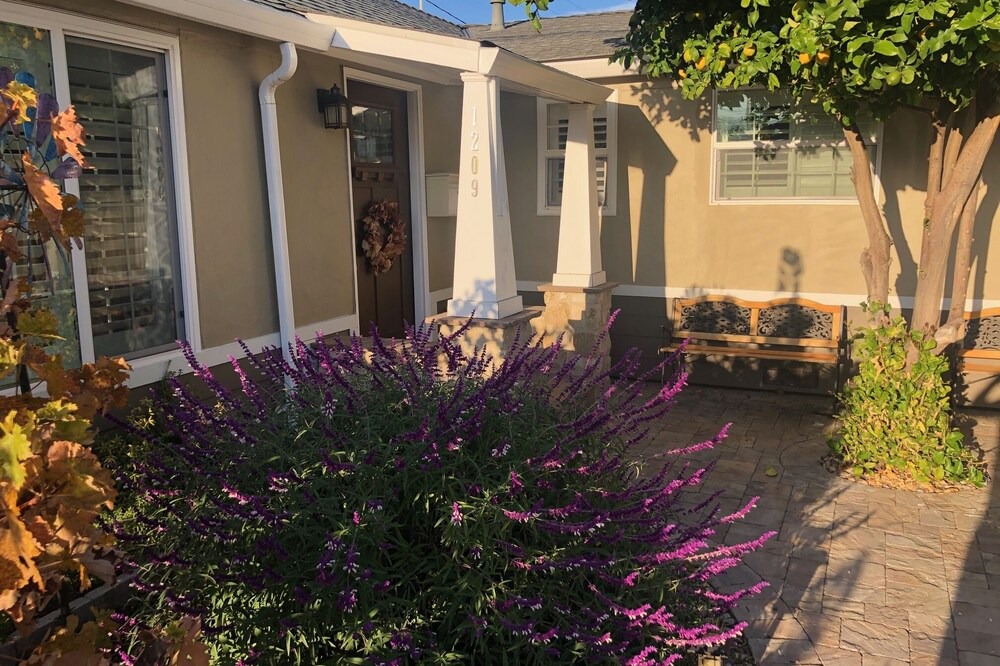 Photo of Outdoor in Redwood City