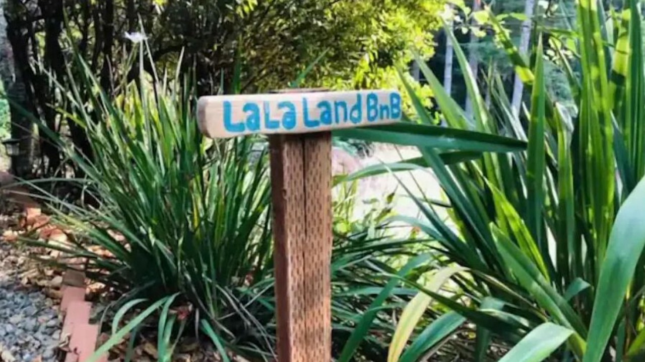 Photo of Outdoor in Gualala