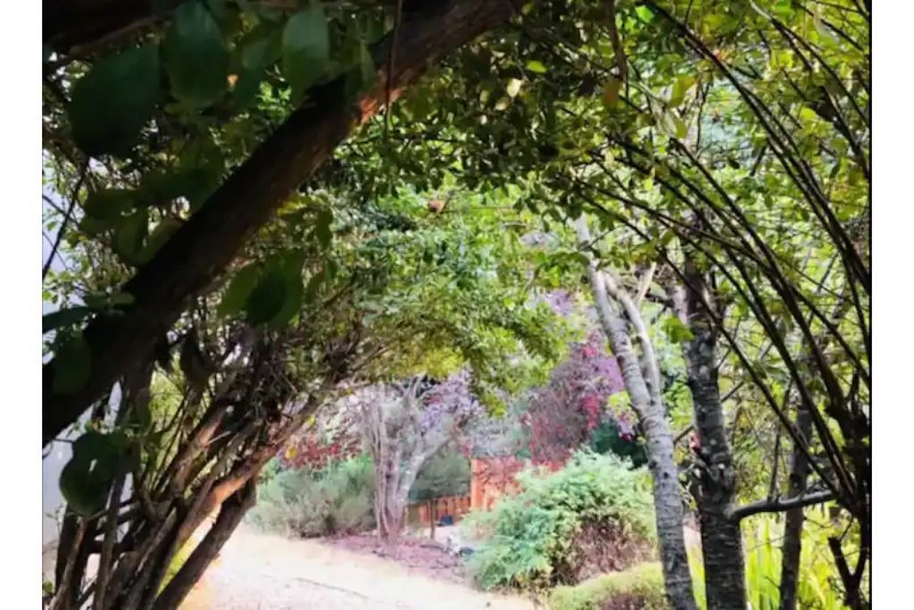Photo of Outdoor in Gualala