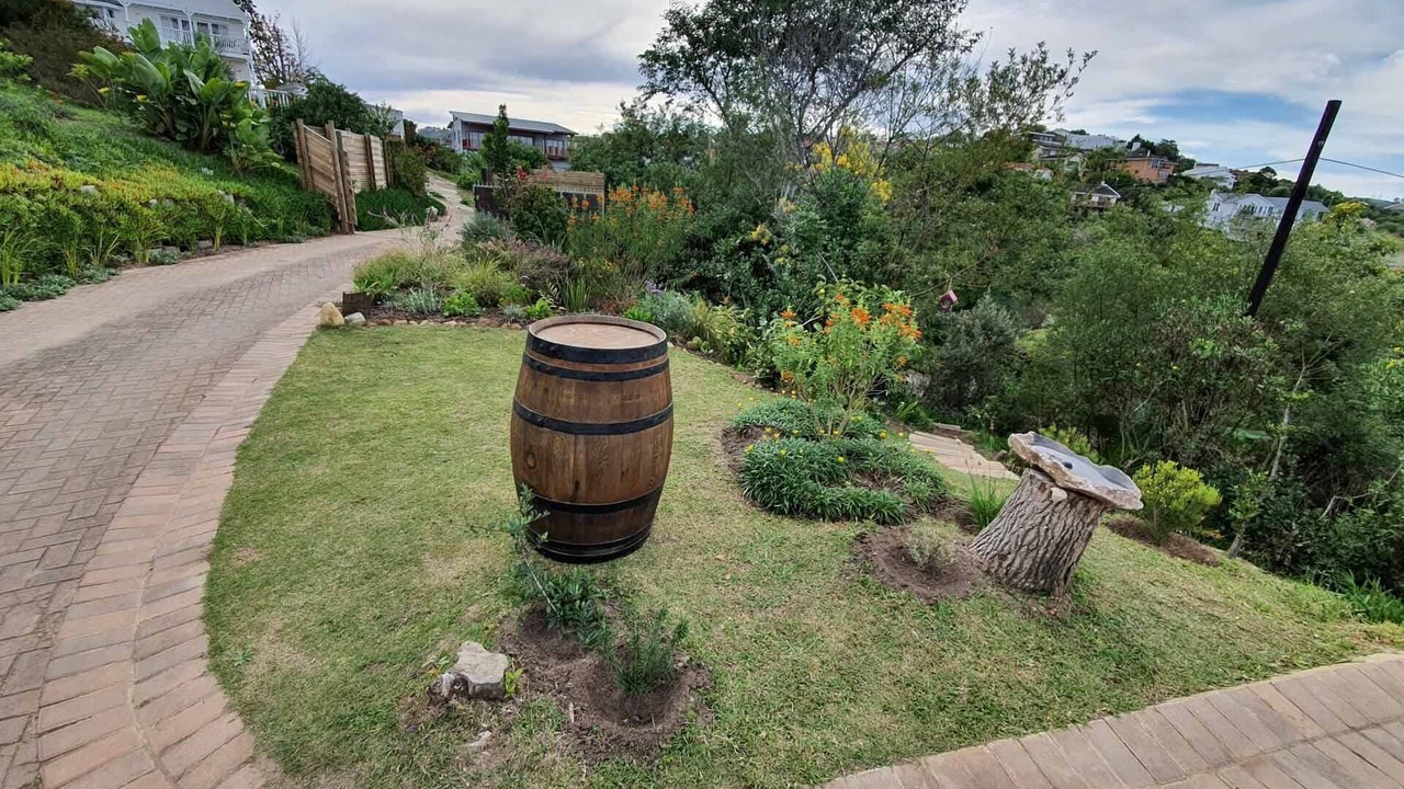 Photo of Outdoor in Paradise
