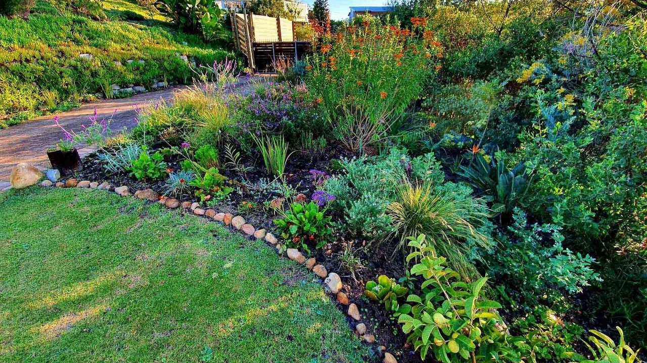 Photo of Outdoor in Paradise